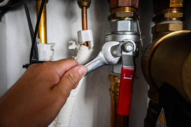 Best Plumbing Inspection Services  in La Center, WA